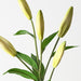 Artificial Casablanca Lily Buds 81cm Green - Pack of 12 - FLORA DESIGNS