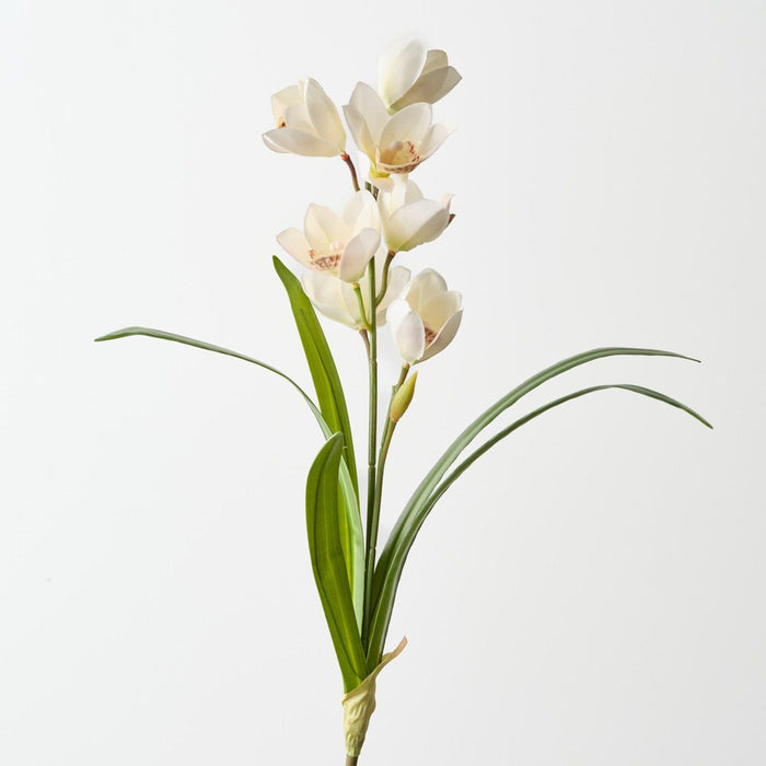 Artificial Cymbidium Orchid Bush 50cm Cream - Pack of 6 - FLORA DESIGNS