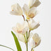 Artificial Cymbidium Orchid Bush 50cm Cream - Pack of 6 - FLORA DESIGNS