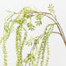 Artificial Amaranthus Spray 96cm Soft Green - Pack of 12 - FLORA DESIGNS