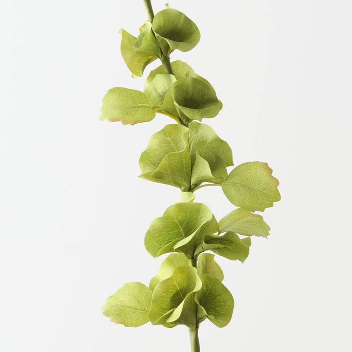 Artificial Bell of Ireland 74cm Green - Pack of 12 - FLORA DESIGNS