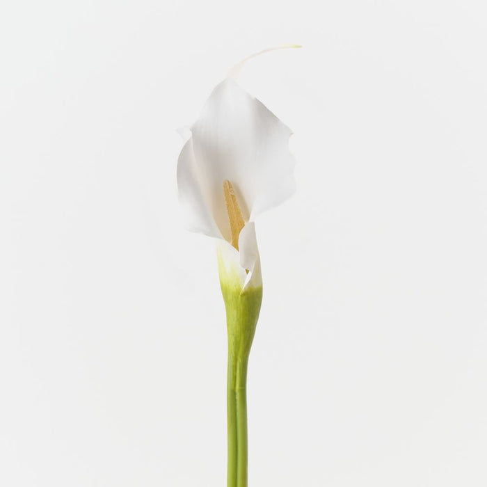 Artificial Calla Lily 73cm White - FLORA DESIGNS