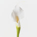 Artificial Calla Lily 73cm White - FLORA DESIGNS