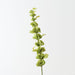 Artificial Bell of Ireland 96cm Green - Pack of 12 - FLORA DESIGNS