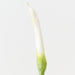 Artificial Calla Lily Bud 98cm White - FLORA DESIGNS