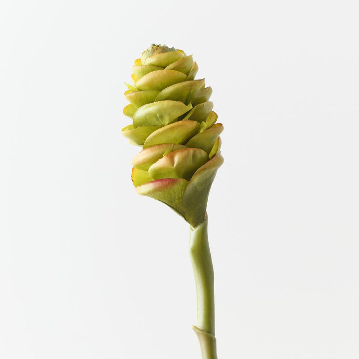 Artificial Beehive Ginger 61cm Green Eggplant - Pack of 12 - FLORA DESIGNS