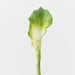 Artificial Calla Lily 101cm Green - Pack of 12 - FLORA DESIGNS