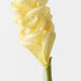 Artificial Beehive Ginger 61cm Cream - Pack of 12 - FLORA DESIGNS