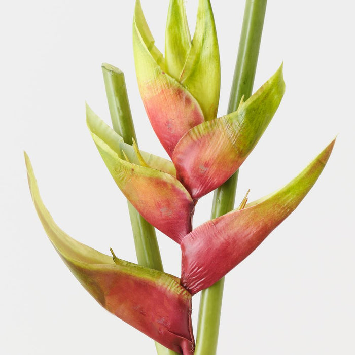 Artificial Heliconia 91cm Green Eggplant - Pack of 6 - FLORA DESIGNS