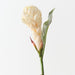 Artificial Torch Ginger 96cm Cream - Pack of 12 - FLORA DESIGNS