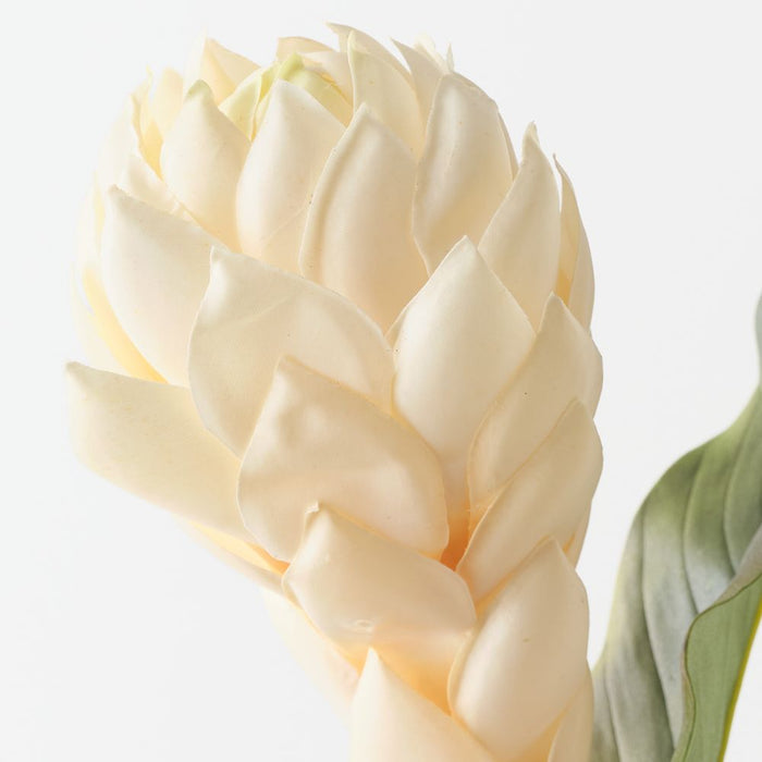 Artificial Torch Ginger 96cm Cream - Pack of 12 - FLORA DESIGNS
