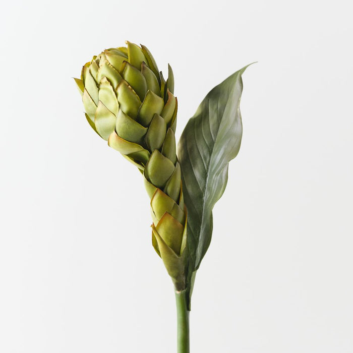 Artificial Torch Ginger 96cm Green Eggplant - Pack of 12 - FLORA DESIGNS