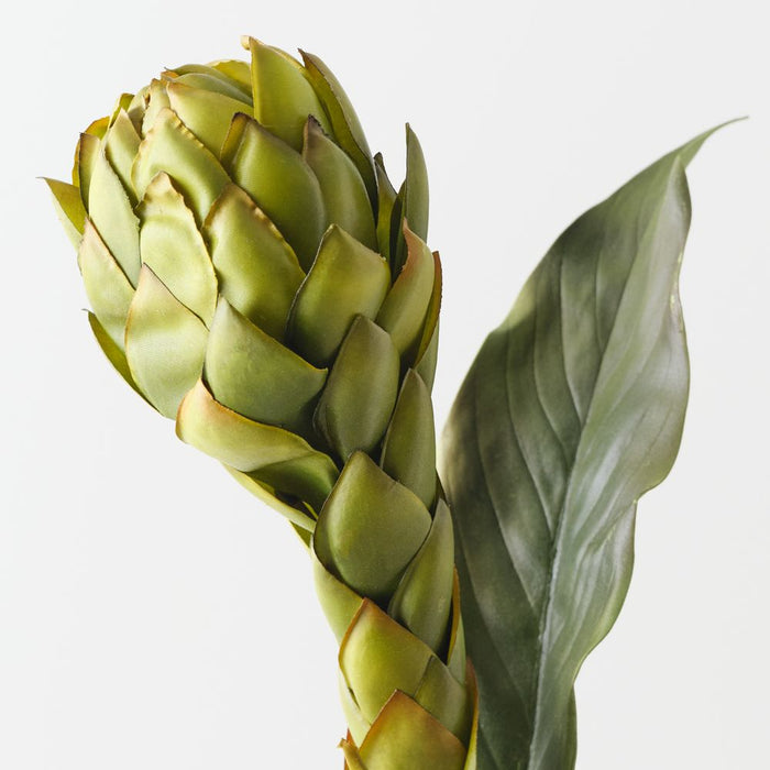 Artificial Torch Ginger 96cm Green Eggplant - Pack of 12 - FLORA DESIGNS