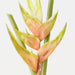 Artificial Heliconia 91cm Cream - Pack of 12 - FLORA DESIGNS