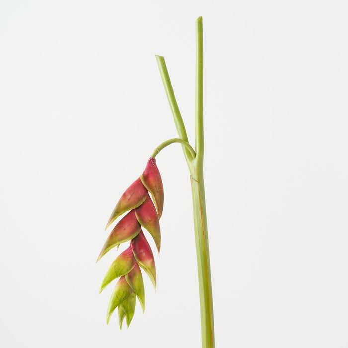 Artificial Heliconia Hanging 90cm Green Eggplant - Pack of 6 - FLORA DESIGNS