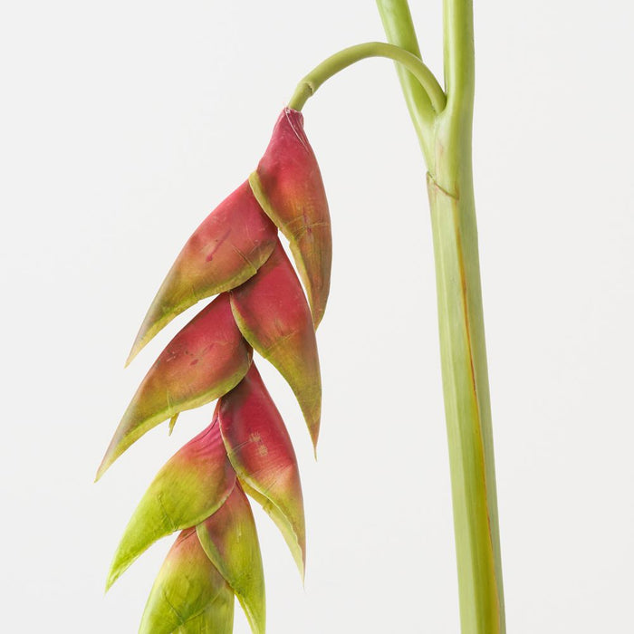 Artificial Heliconia Hanging 90cm Green Eggplant - Pack of 6 - FLORA DESIGNS