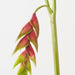 Artificial Heliconia Hanging 90cm Green Eggplant - Pack of 6 - FLORA DESIGNS