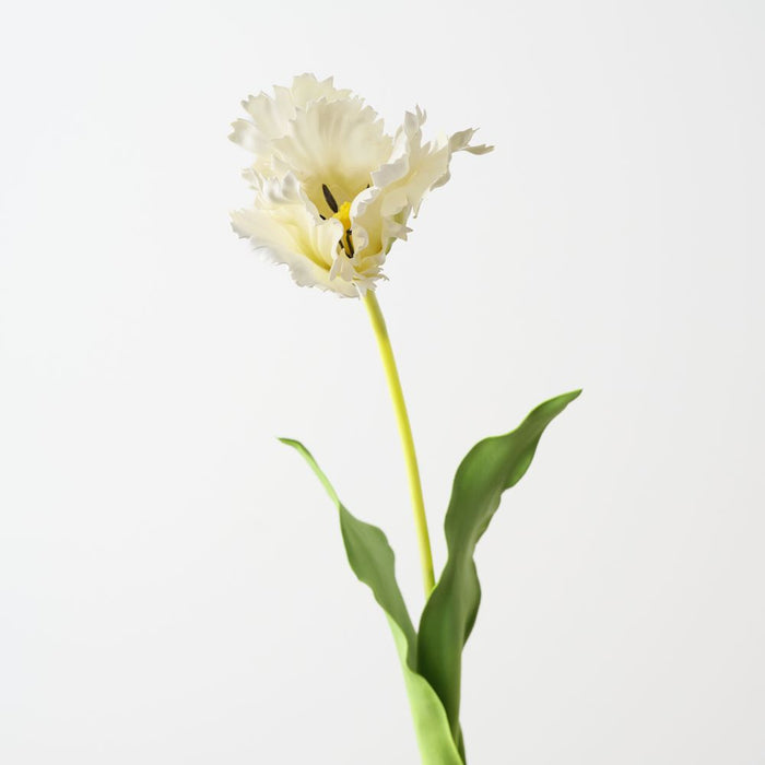 Artificial Parrot Tulip 70cm White - Pack of 12 - FLORA DESIGNS