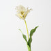 Artificial Parrot Tulip 70cm White - Pack of 12 - FLORA DESIGNS