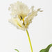 Artificial Parrot Tulip 70cm White - Pack of 12 - FLORA DESIGNS