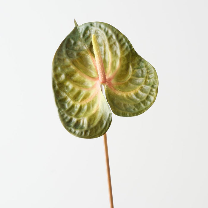 Artificial Anthurium 71cm Green Mauve - Pack of 6 - FLORA DESIGNS