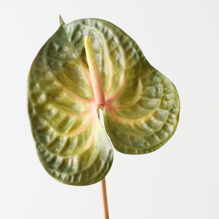 Artificial Anthurium 71cm Green Mauve - Pack of 6 - FLORA DESIGNS