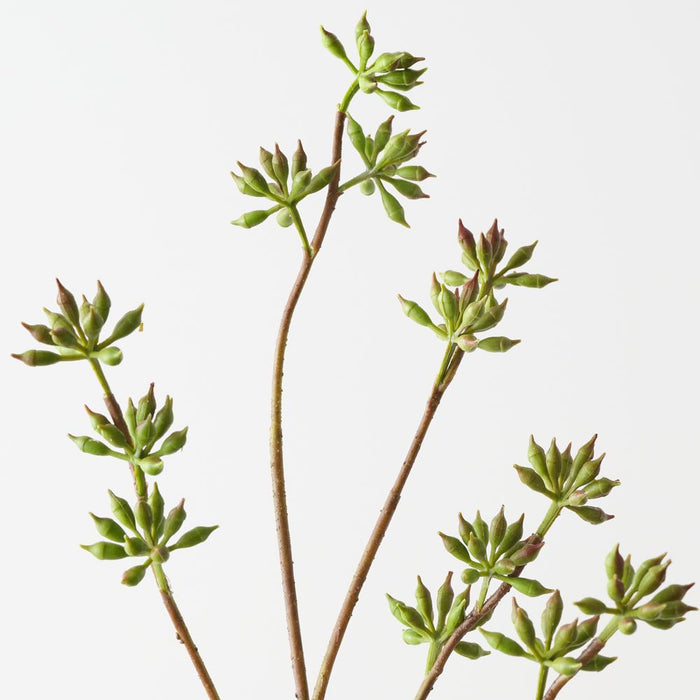 Artificial Eucalyptus Seed Spray 83cm Green - Pack of 12 - FLORA DESIGNS