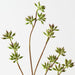 Artificial Eucalyptus Seed Spray 83cm Green - Pack of 12 - FLORA DESIGNS