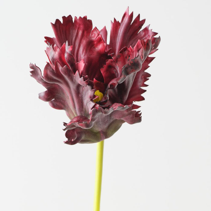 Artificial Parrot Tulip 70cm Burgundy - Pack of 12 - FLORA DESIGNS