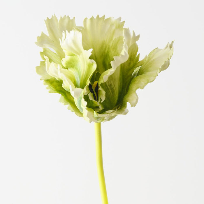 Artificial Parrot Tulip 70cm Green White - Pack of 12 - FLORA DESIGNS