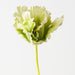 Artificial Parrot Tulip 70cm Green White - Pack of 12 - FLORA DESIGNS