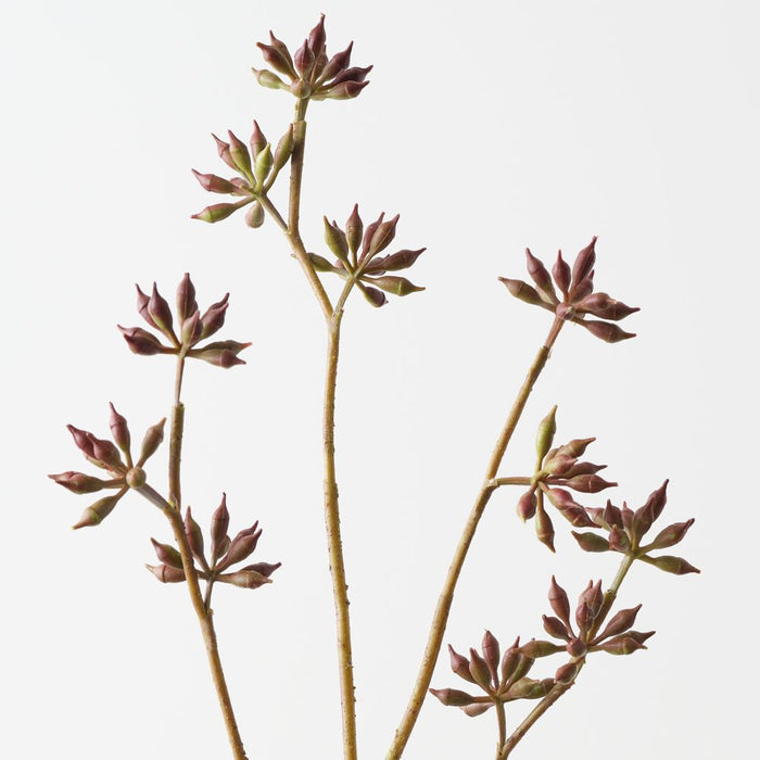 Artificial Eucalyptus Seed Spray 83cm Burgundy - Pack of 6 - FLORA DESIGNS