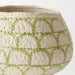 Aurora Pot 35cm Fern - FLORA DESIGNS