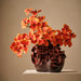 Alora Vase 28cm Bordeaux - FLORA DESIGNS
