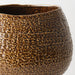 Aurora Pot 35cm Pangolin - FLORA DESIGNS