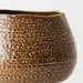 Aurora Pot 26cm Pangolin - FLORA DESIGNS
