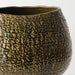 Aurora Pot 35cm Frond - Pack of 12 - FLORA DESIGNS