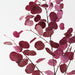 Artificial Eucalyptus Spray 110cm Burgundy - Pack of 12 - FLORA DESIGNS