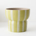 Arlo Pot 20cm Myrtle - FLORA DESIGNS