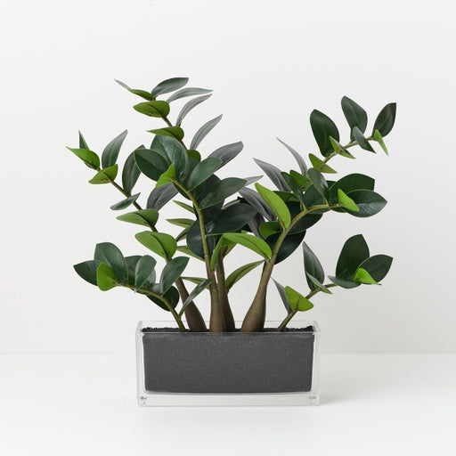 Zanzibar Gem in Vase 45cm Green - FLORA DESIGNS