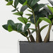 Zanzibar Gem in Vase 45cm Green - FLORA DESIGNS