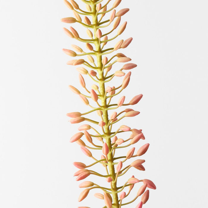 Artificial Foxtail Lily 105cm Pink Green - Pack of 12 - FLORA DESIGNS