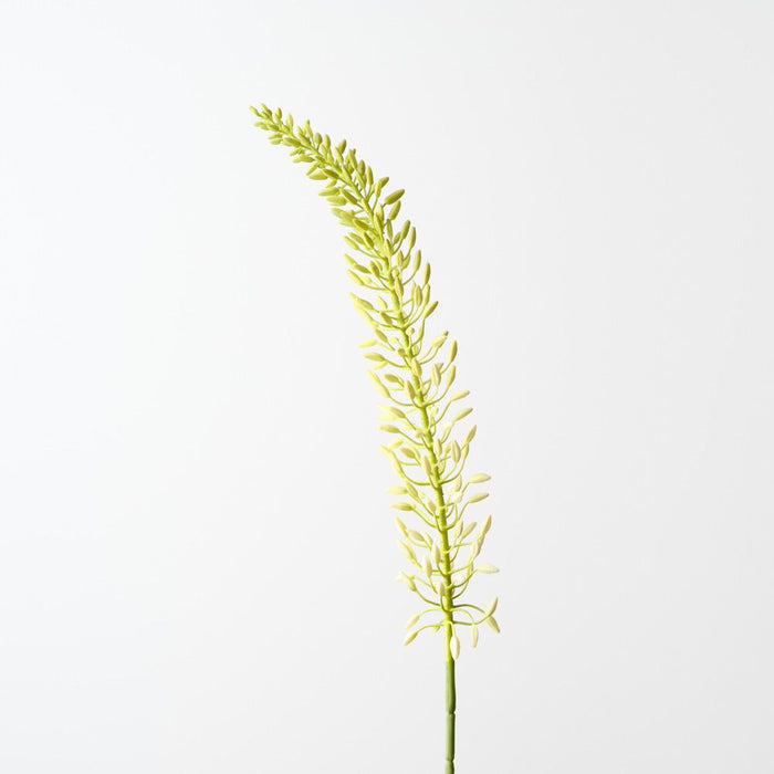 Artificial Foxtail Lily 105cm Cream Green - Pack of 12 - FLORA DESIGNS