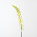 Artificial Foxtail Lily 105cm Cream Green - Pack of 12 - FLORA DESIGNS