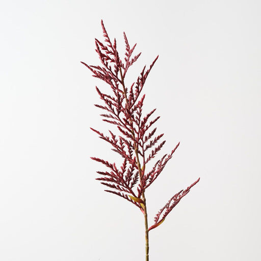 Artificial Coral Bromeliad Spray 81cm Burgundy - Pack of 12 - FLORA DESIGNS