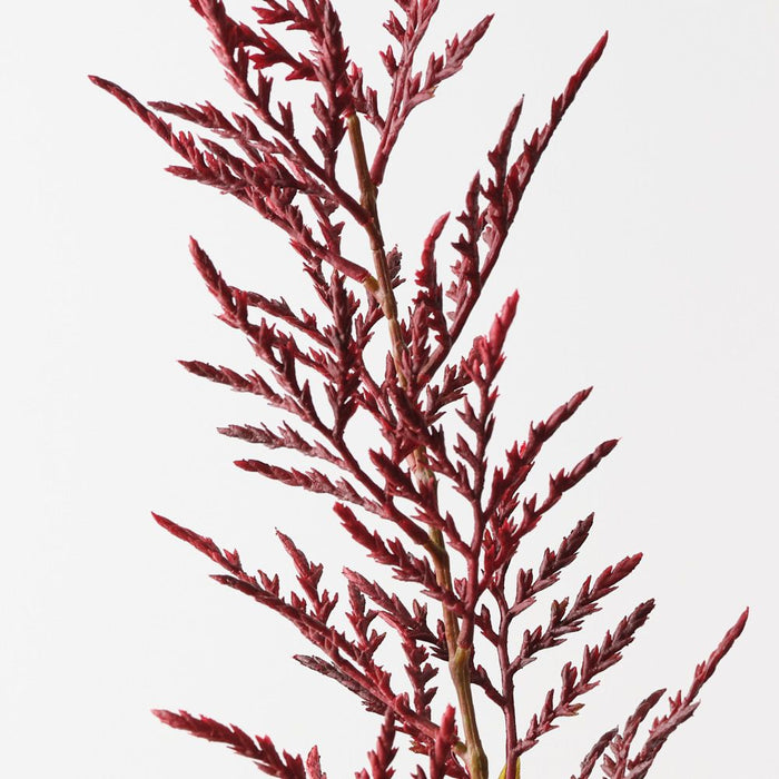 Artificial Coral Bromeliad Spray 81cm Burgundy - Pack of 12 - FLORA DESIGNS