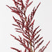 Artificial Coral Bromeliad Spray 81cm Burgundy - Pack of 12 - FLORA DESIGNS