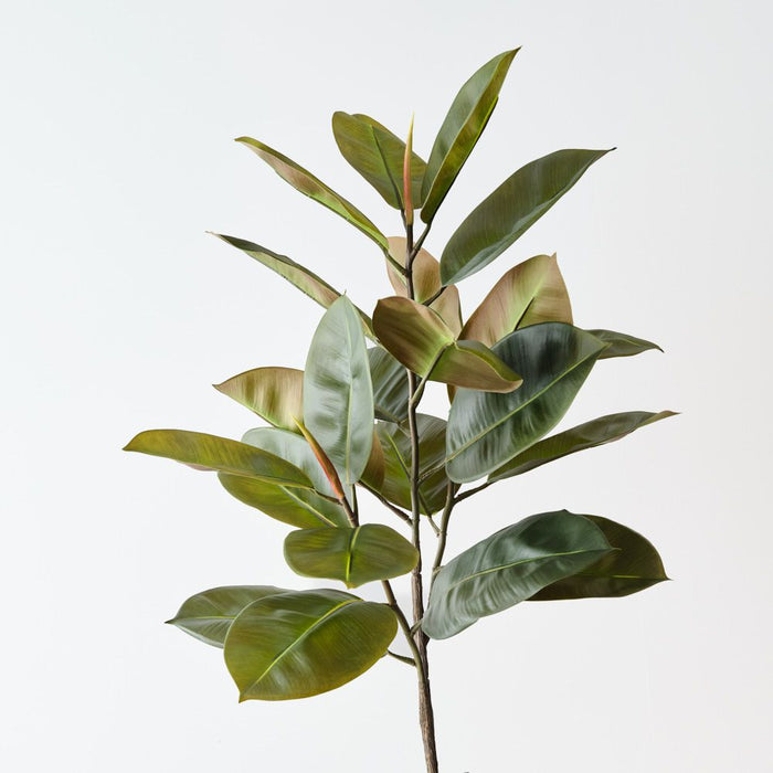 Artificial Rubber Leaf Bush 81cm Green - Pack of 6 - FLORA DESIGNS