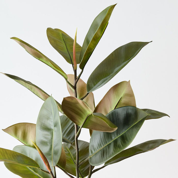 Artificial Rubber Leaf Bush 81cm Green - Pack of 6 - FLORA DESIGNS