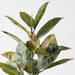 Artificial Rubber Leaf Bush 81cm Green - Pack of 6 - FLORA DESIGNS